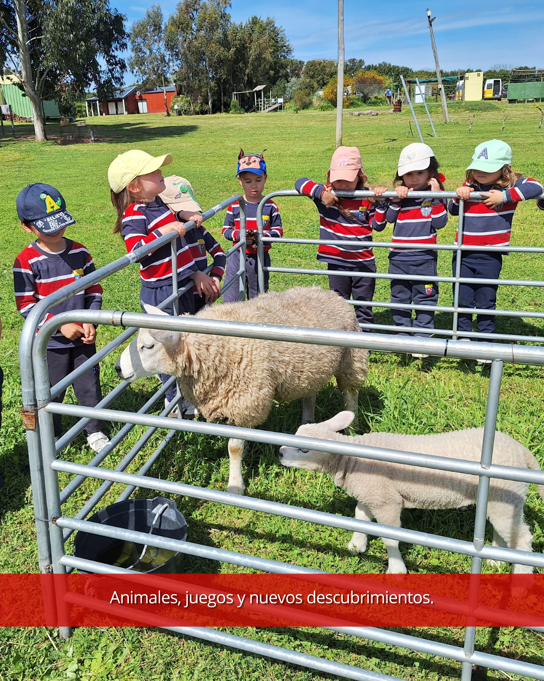 CRA granja san gerardo 6